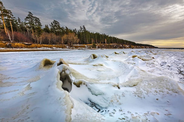 The beginning of the ice age on the Ob River with snow and ice hummocks near the coast with a pine forest. Berdsk, Novosibirsk region, Western Siberia of Russia, November - Фото, изображение