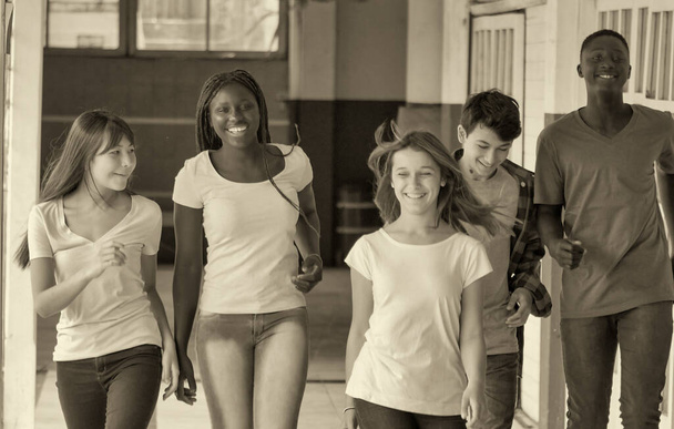 Szczęśliwa, wieloetniczna grupa nastolatków w szkole spacerująca korytarzem. Koncepcja szczęśliwości i lekkości. - Zdjęcie, obraz