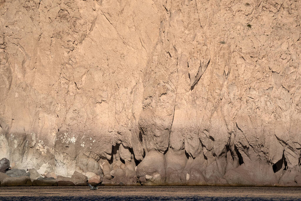 пелікан, що літає над Каліфорнією сюр Кортес деталь морських порід
 - Фото, зображення
