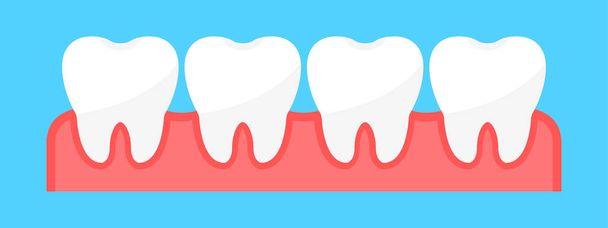 健康な歯がセット。歯だ。歯茎に歯がある。歯科クリニックでの歯科治療。フラットスタイル。ベクターイラスト - 写真・画像