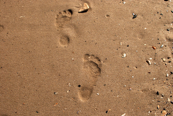 Pasos de los pies humanos desnudos en la arena mojada de la playa de mar - Foto, Imagen