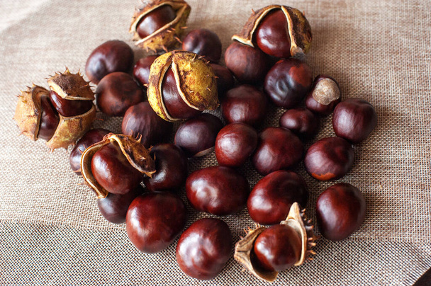 chestnuts on a craft fabric background - Photo, Image