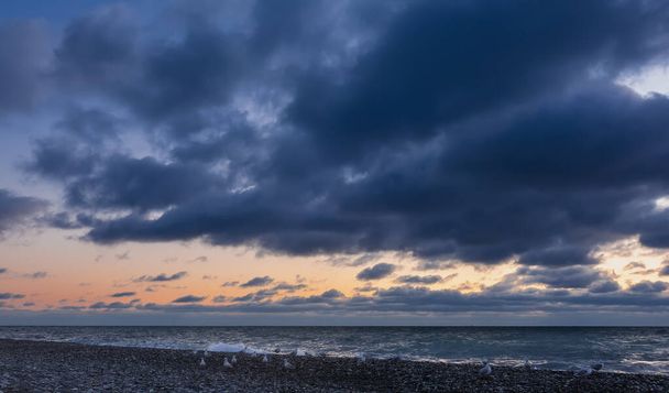 Ο βραδινός ουρανός καλύπτεται από σκούρα μπλε σύννεφα. Πάνω από τον ορίζοντα, ροζ και πορτοκαλί ανταύγειες. Θαλασσινά κύματα αφρίζουν στην παραλία. Ένα σμήνος γλάρων κάθεται πάνω σε ένα βότσαλο.. - Φωτογραφία, εικόνα
