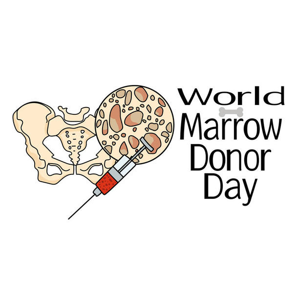 Giornata mondiale del donatore di midollo, rappresentazione schematica del midollo osseo e del tessuto osseo, per illustrazione di poster o banner vettoriale - Vettoriali, immagini