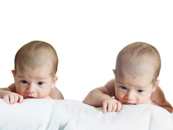 Portrait of two funny caucasian newborn toddlers baby boys isolated on white - Photo, Image