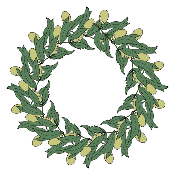 kuva, käsin piirrettyjen oliivinoksien seppele vihreillä oliiveilla, kortti, juliste - Vektori, kuva