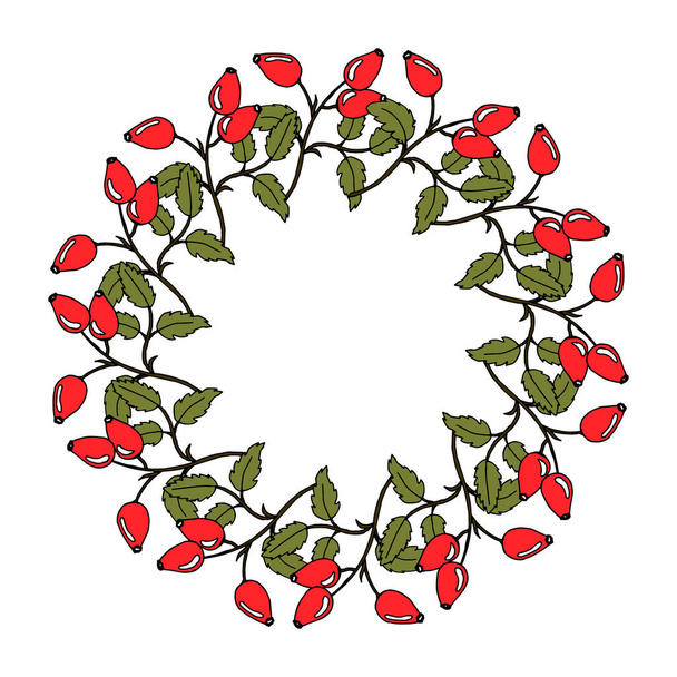 иллюстрация, венок из шиповника ручной работы с красными фруктами, для текста, открытка - Вектор,изображение