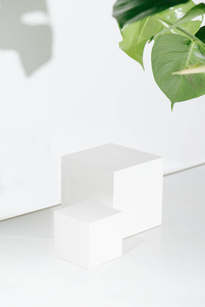 Cubos blancos brillantes frente a una pared blanca con una sombra de grandes hojas de planta monstera. Y un par de hojas verdes en la esquina superior. - Foto, Imagen