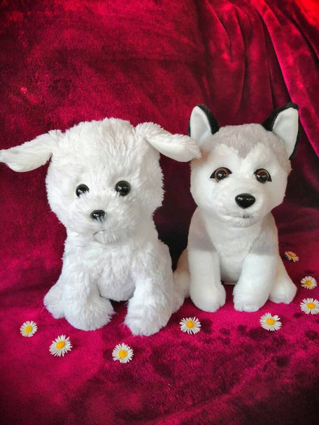 Γεμιστά ζώα. Χαριτωμένα παιχνίδια με τη μορφή δύο σκύλων που αντιπροσωπεύουν ένα Bichon Frize και ένα Siberian Husky.  - Φωτογραφία, εικόνα