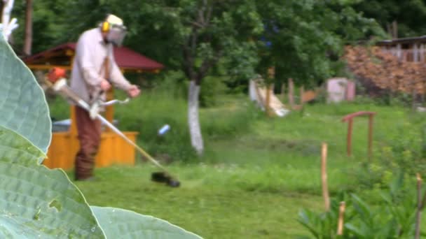 Mudança de foco para o homem aparar grama no jardim perto da água bem
 - Filmagem, Vídeo