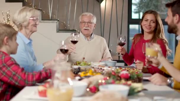Onnellinen perhe syömässä punaviiniä kotona - Materiaali, video