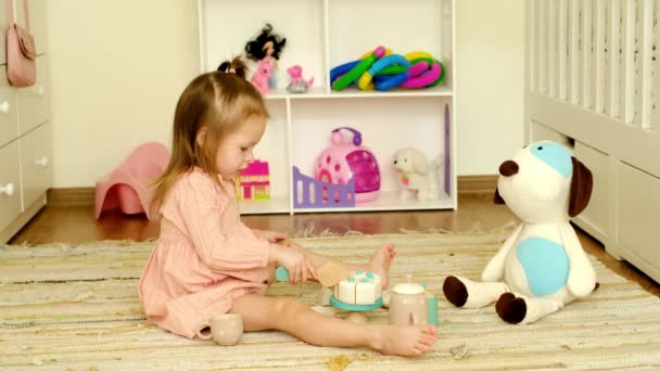 Tyttö leikkii lastenhuoneessa teekutsuilla, joissa on tiskejä pehmokoiran kanssa. Lapsi jakaa kakun palasiksi ystävän hoitoon. Puiset lelut juhlapöytään - Materiaali, video