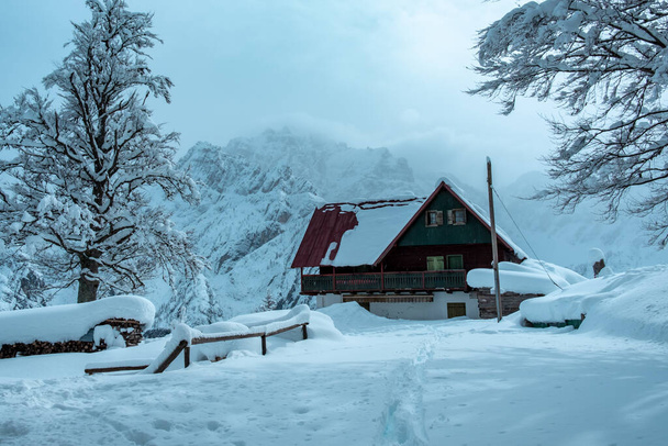 Julian Alps depois de uma grande queda de neve. Província de Udine, região Friuli-Venezia Giulia, Itália - Foto, Imagem