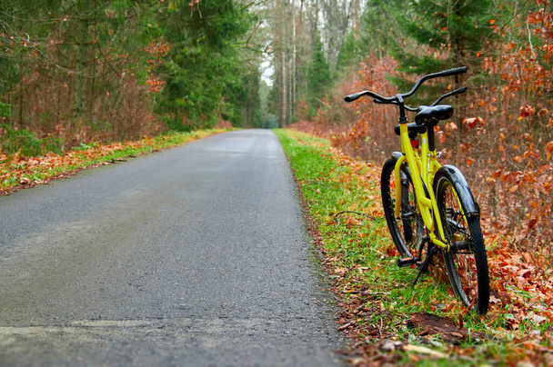 Bike line on the road in the autumn park. Yellow bike stands on the side of a bike path in the autumn forest. - Fotografie, Obrázek