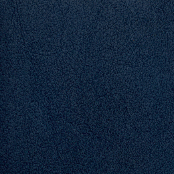 Blue leather  - Photo, Image