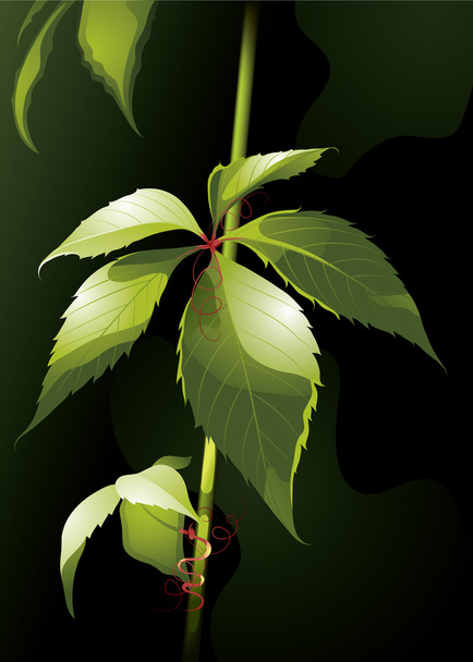 Solar leaf - Vektor, obrázek