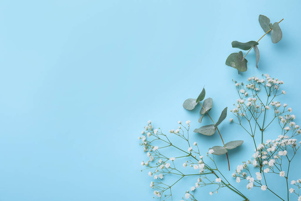 Beautiful gypsophila and eucalyptus on light blue background, flat lay. Space for text - Фото, изображение