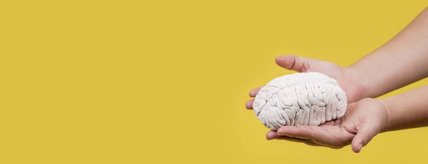 Two male hands holding a brain model on a yellow background - Foto, Bild