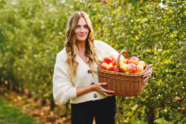 有機栽培の果樹園で赤いリンゴを持つ幸せな女子高生と美しい母親。幸せな女性と子供の娘は木から熟した果物を選んで庭で楽しんでいます。家族の収穫期. - 写真・画像