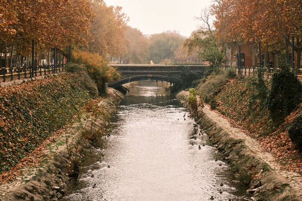 Femme en manteau jaune traversant un pont au-dessus d'une rivière pleine de canards un jour d'automne brumeux - Photo, image