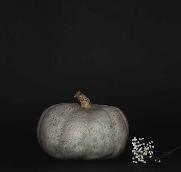 Vintage autumn composition of pumpkin with flowers on dark background. Nature concept. Floral Greeting card. - 写真・画像