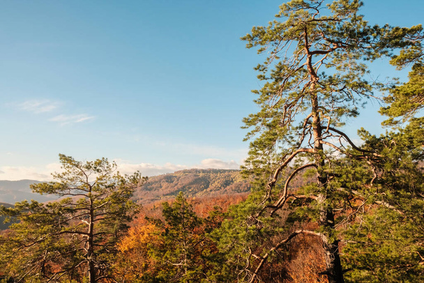 Panoramatický výhled na podzimní krajinu v horách. Modrá obloha a bílé mraky. Ukrajinští Karpat. Rozmazané a selektivní zaměření - Fotografie, Obrázek