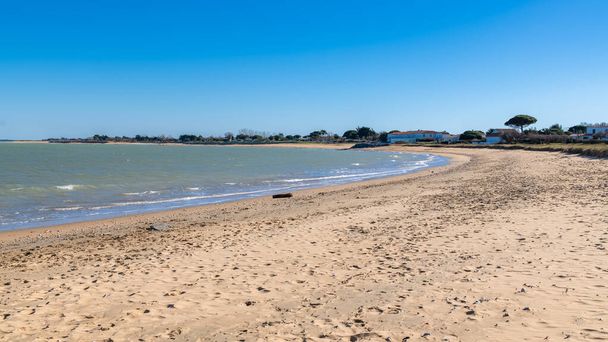 Beautiful beach on the Oleron island in France, in summer - Photo, Image