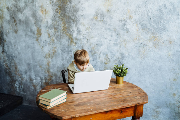A boy in a light hoodiest sits with a laptop at a wooden table on a light background. There are also three books and a flower pot on the table. - Photo, Image