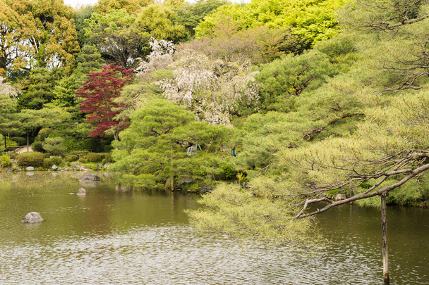 το τοπίο της ιαπωνικό κήπο με το pone. - Φωτογραφία, εικόνα