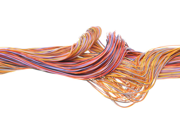 Multicolored computer network cable - Valokuva, kuva