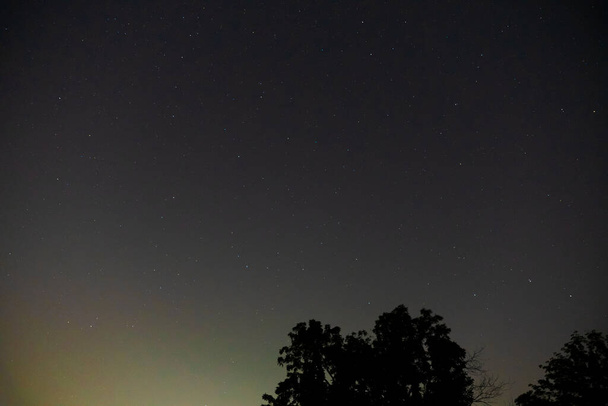 Sternenhimmel in der Nacht mit einem Teil des Silhouettenbaums. Universum, Kosmos Hintergrund - Foto, Bild