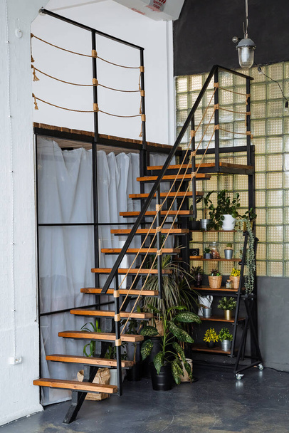 Interior shot. Stairs made of black metal to the second floor, under it a stele with green plants. Modern apartment - Φωτογραφία, εικόνα
