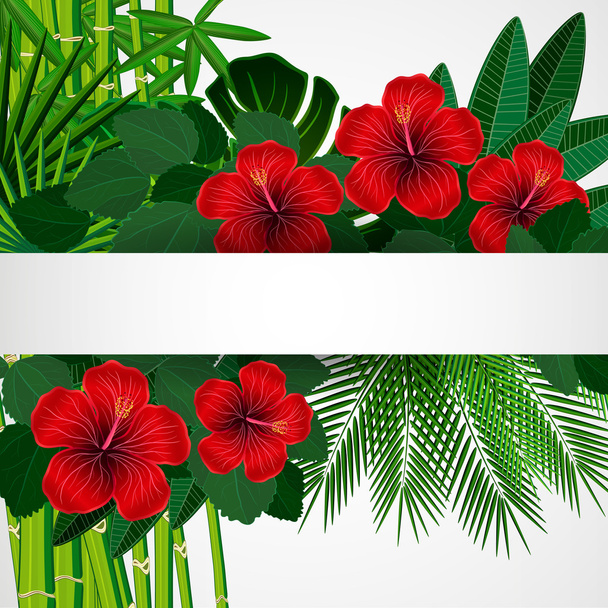 Tropical floral design background. - Vector, Image
