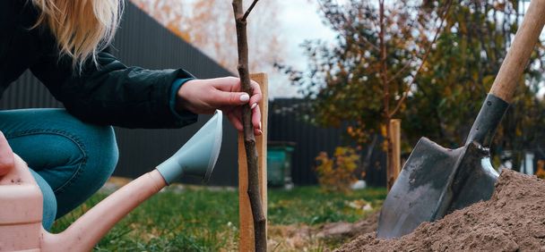 Wolontariusze sadzący drzewo. Kobieta sadzi drzewa owocowe w ogrodzie, ręce łopatą kopie ziemię, przyrodę, środowisko i ekologię koncepcji - Zdjęcie, obraz