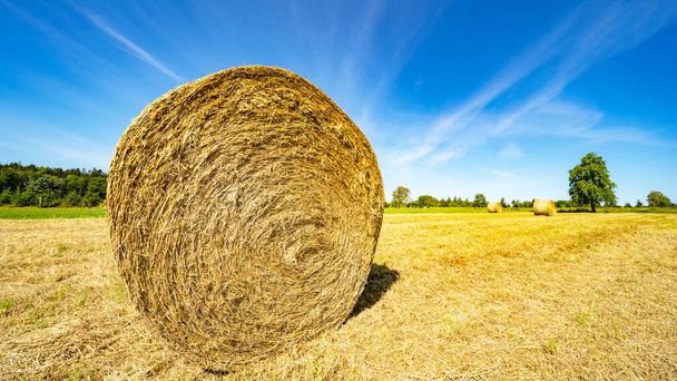 Landscape banner wide panoramic panorama background - Hay bales on a field and blue sky and apple tree in the summer in Germany - Photo, Image