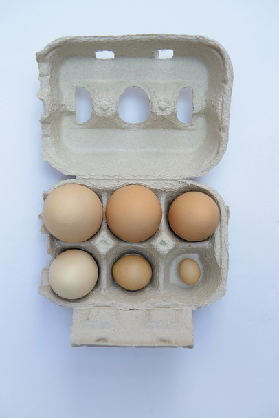 Huevos (ruta de recorte
) - Foto, Imagen