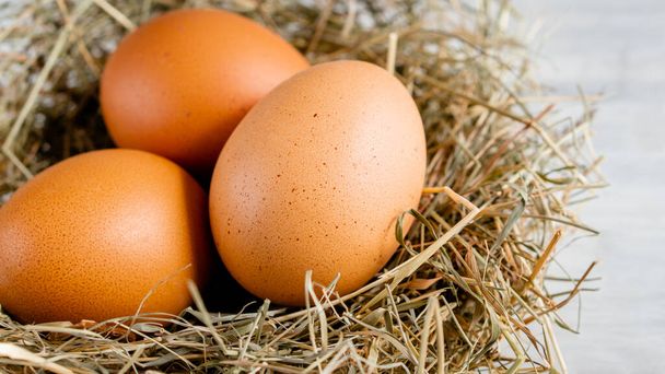 Κοντινό πλάνο ακατέργαστο λευκό καφέ βιολογικά φρέσκα αυγά κέλυφος με κρόκο από ευτυχισμένη κότα όρνιθας ελεύθερης βοσκής αγρόκτημα στη φύση εκκολαφθεί φωλιά άχυρο υγιή πρωτεΐνη σύμβολο της άνοιξης εποχή γιορτή του Πάσχα γέννηση  - Φωτογραφία, εικόνα