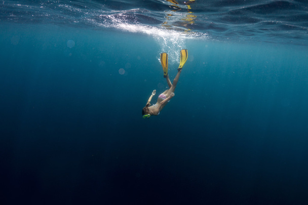 Diver - Foto, Imagem