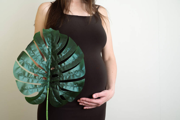 Donna incinta con verde foglia di palma tropicale monstera tiene le mani sulla pancia. Gravidanza ecologica e pianificazione della gravidanza. - Foto, immagini