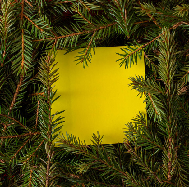 egy sárga matricát helyeznek a karácsonyfa ágai közé. hely az sms-nek. lapos fektetés. - Fotó, kép