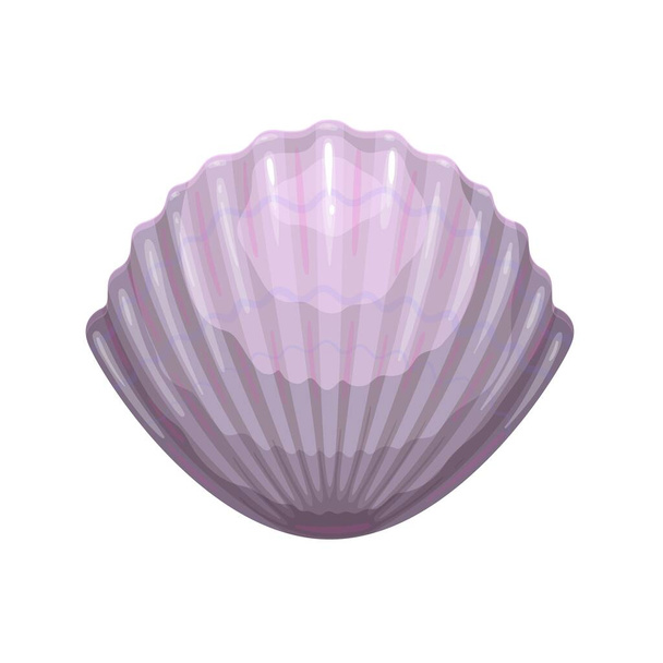 Sea Scallop, seashell - Διάνυσμα, εικόνα
