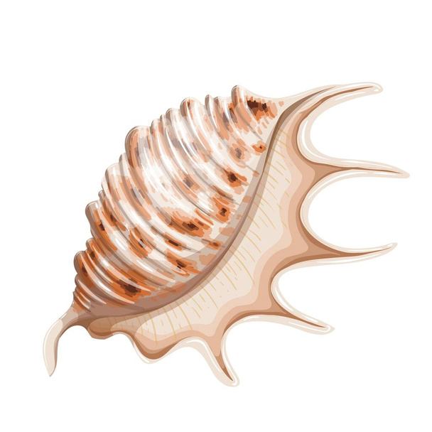 Seashell icon, underwater theme - Διάνυσμα, εικόνα