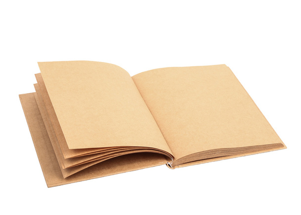 Libro marrón aislado sobre fondo blanco
 - Foto, imagen