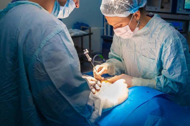 A female surgeon operates on a patient on the operating table. - Foto, immagini