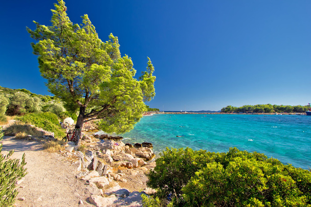 Plage idyllique turquoise en Croatie
 - Photo, image