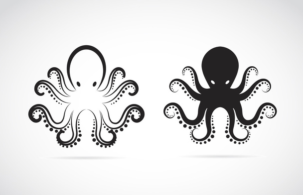 Vector image of an octopus on white background. - Vector, Image