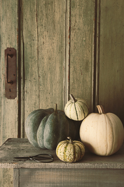 Pile of pumpkins and gourds on old bench - Photo, Image