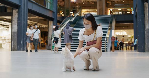 Pet Friendly nákupní centrum s bílým pomeranian pes - Fotografie, Obrázek