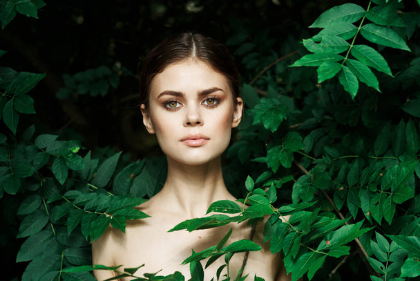 beautiful woman green leaves clean skin nature summer close-up - Valokuva, kuva