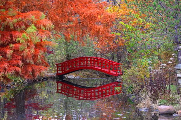 ogród japoński w czasie jesieni - Zdjęcie, obraz